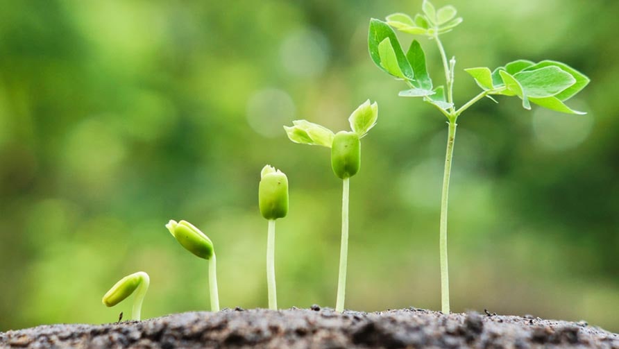 New Desgin - Upgrading Services & Products